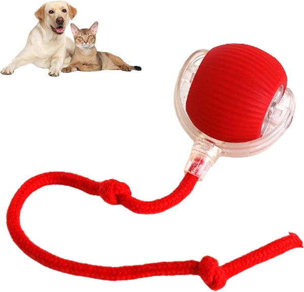 "Interaktives Haustier-Spielzeug: Automatisch Rollender Ball für Hunde und Katzen, 360° Smart-Design, 6.5cm, 57g"