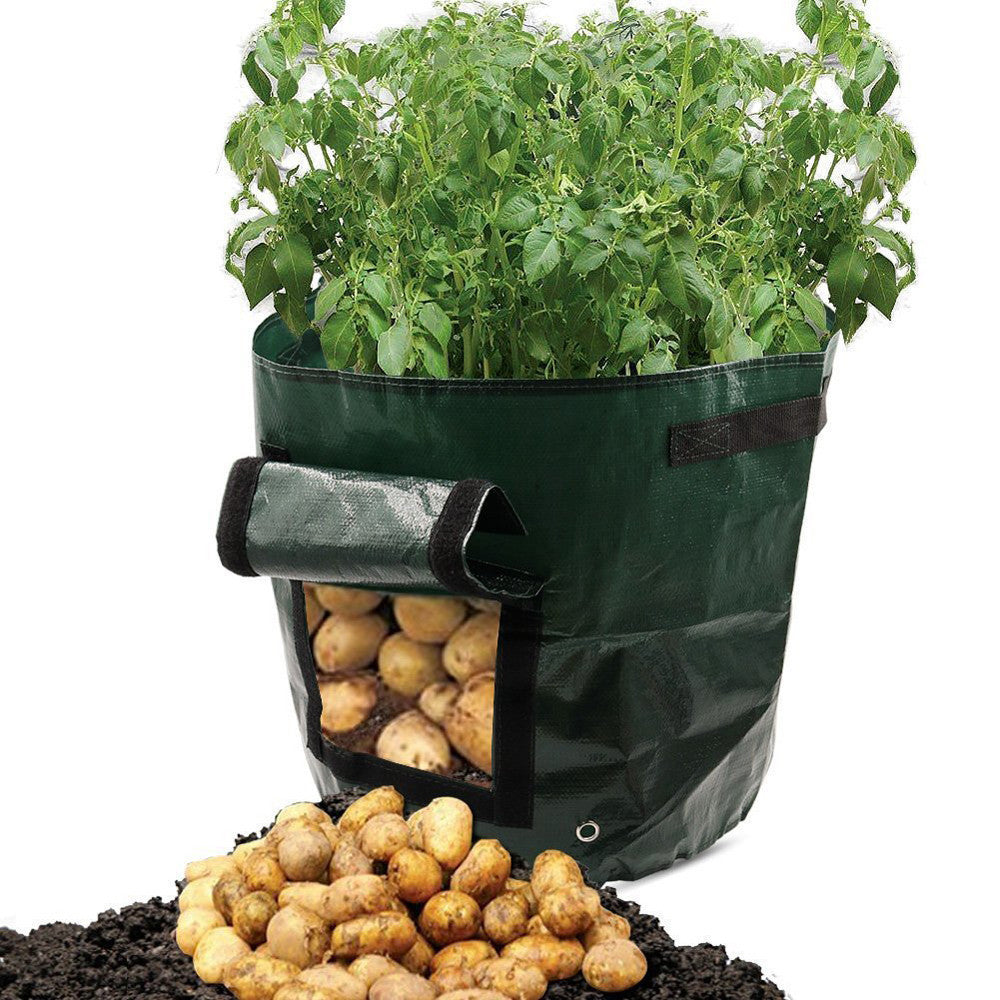 "PE-Gewebe Gartenpflanzsack - Atmungsaktiv, Wiederverwendbar & Ideal für Gesundes Pflanzenwachstum"