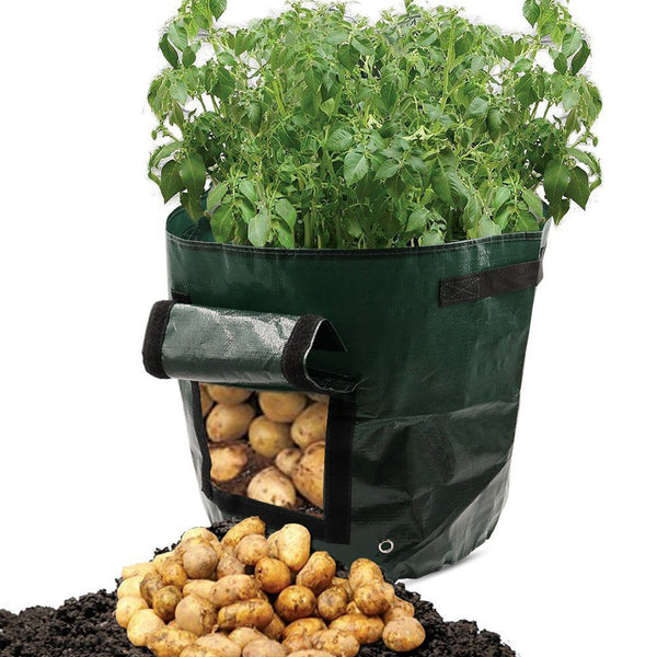 "PE-Gewebe Gartenpflanzsack - Atmungsaktiv, Wiederverwendbar & Ideal für Gesundes Pflanzenwachstum"