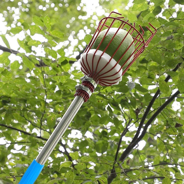 "Edelstahl Obst-Pflückwerkzeug mit abnehmbarem Stab - Leichte Handhabung für mühelose Ernte, Ideal für schwer erreichbare Früchte"