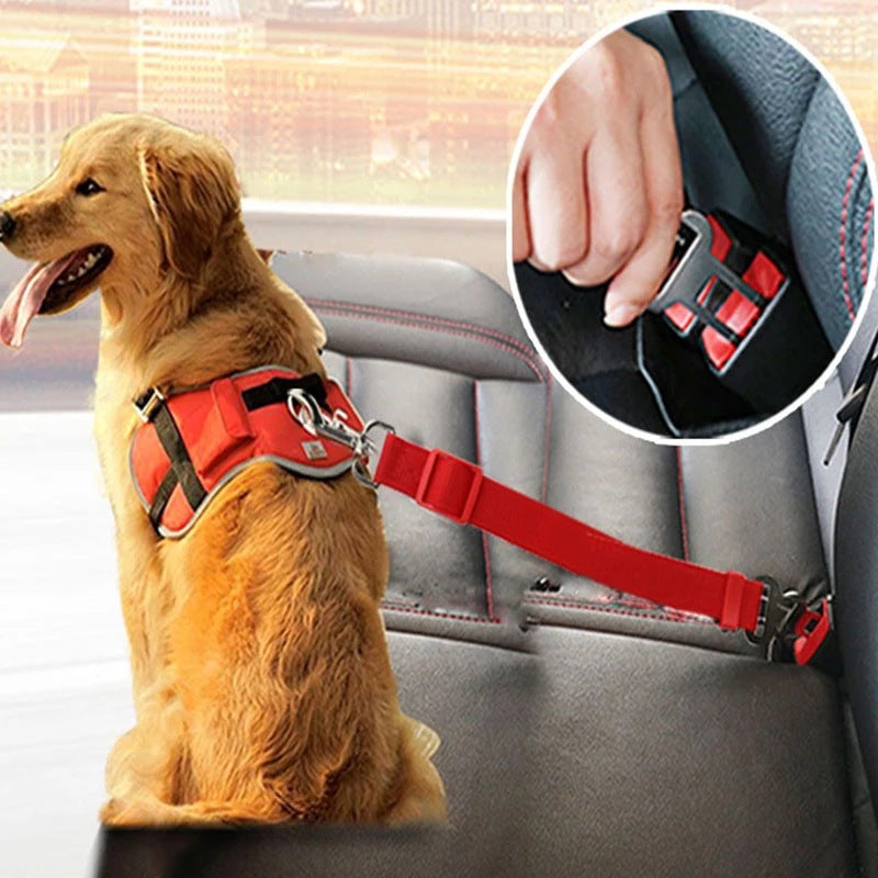 "Einstellbarer Sicherheitsgurt für Haustiere im Auto, Hochwertiges Nylon, Für Hunde und Katzen, Verschiedene Farben"