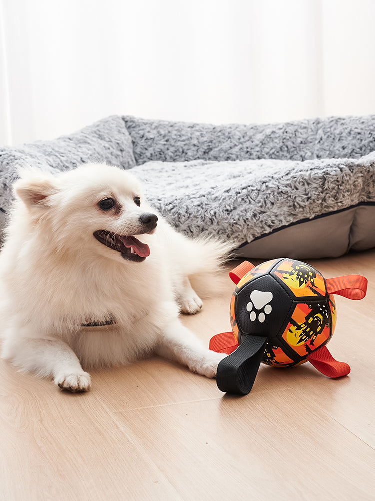 "Interaktives Hundespielzeug Fußball mit Gurten - Wasserspielzeug für Tauziehen - Ideales Geschenk für Haustiere zu Halloween, Weihnachten & Geburtstag"