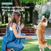 "Interaktives Fußballspielzeug für Hunde, Aufblasbarer Trainingsball, Sicher & Langlebig, Ideal für Große Hunde und Border Collies"