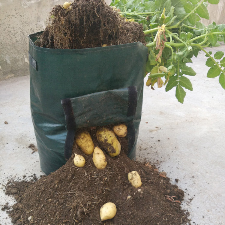 "PE-Gewebe Gartenpflanzsack - Atmungsaktiv, Wiederverwendbar & Ideal für Gesundes Pflanzenwachstum"