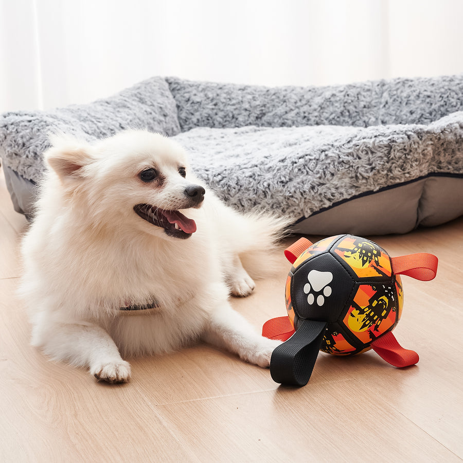 "Interaktives Hundespielzeug Fußball mit Gurten - Wasserspielzeug für Tauziehen - Ideales Geschenk für Haustiere zu Halloween, Weihnachten & Geburtstag"