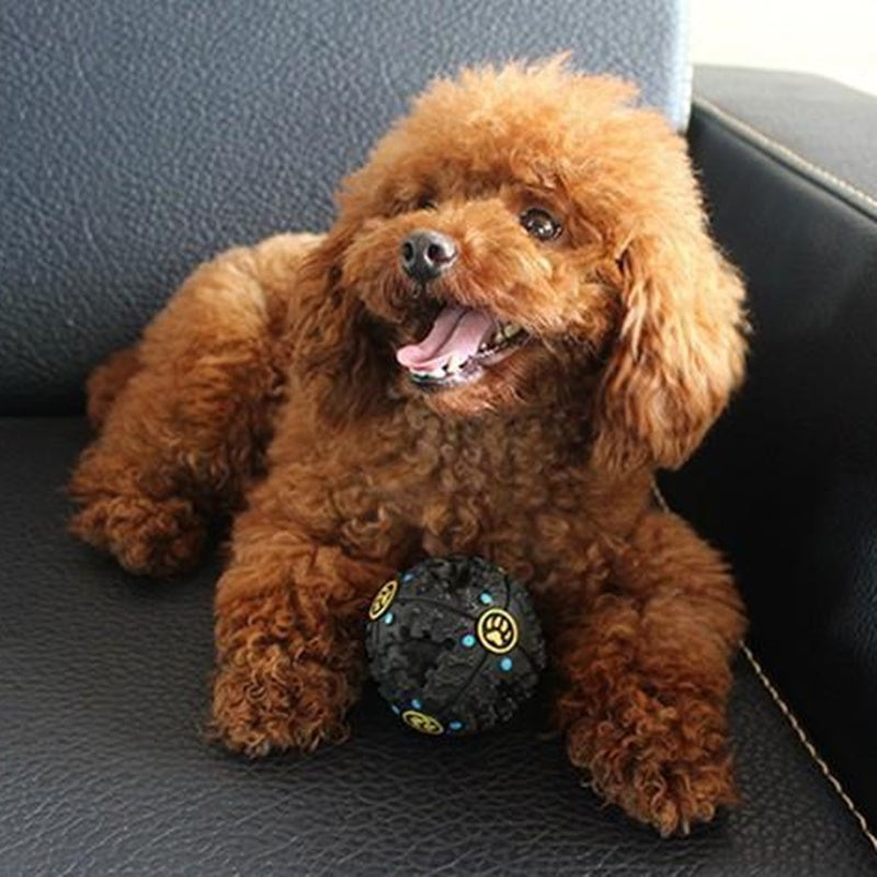 "Interaktiver Paw Prime Tricky Treat Ball - Spielzeug zur geistigen Stimulation und körperlichen Aktivität Ihres Hundes"