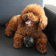 "Interaktiver Paw Prime Tricky Treat Ball - Spielzeug zur geistigen Stimulation und körperlichen Aktivität Ihres Hundes"