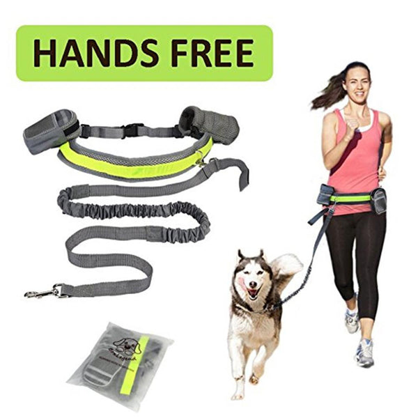 "Verstellbare Freihand-Hundeleine: 4-teiliges Lauf-Traktionsset, Nylon, Stretchbar & Anpassbar, mit Taillentasche für Handy und Snacks - in 4 Farben erhältlich"