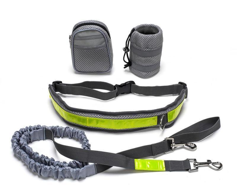 "Verstellbare Freihand-Hundeleine: 4-teiliges Lauf-Traktionsset, Nylon, Stretchbar & Anpassbar, mit Taillentasche für Handy und Snacks - in 4 Farben erhältlich"