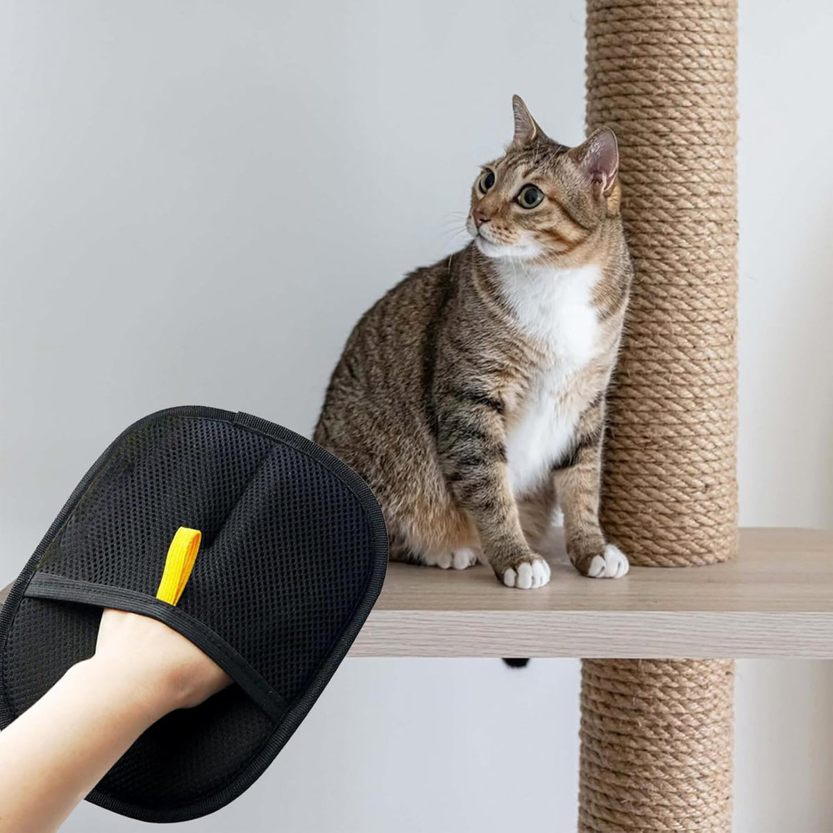"Elektrostatische Haarentfernungs-Handschuhe für Haustiere, Zwei-Wege-Borsten-Entferner, Haarbürste, Katzenhaarhandschuhe und -Kamm"