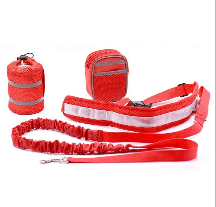 "Verstellbare Freihand-Hundeleine: 4-teiliges Lauf-Traktionsset, Nylon, Stretchbar & Anpassbar, mit Taillentasche für Handy und Snacks - in 4 Farben erhältlich"