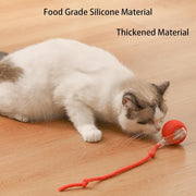 "Interaktives Haustier-Spielzeug: Automatisch Rollender Ball für Hunde und Katzen, 360° Smart-Design, 6.5cm, 57g"
