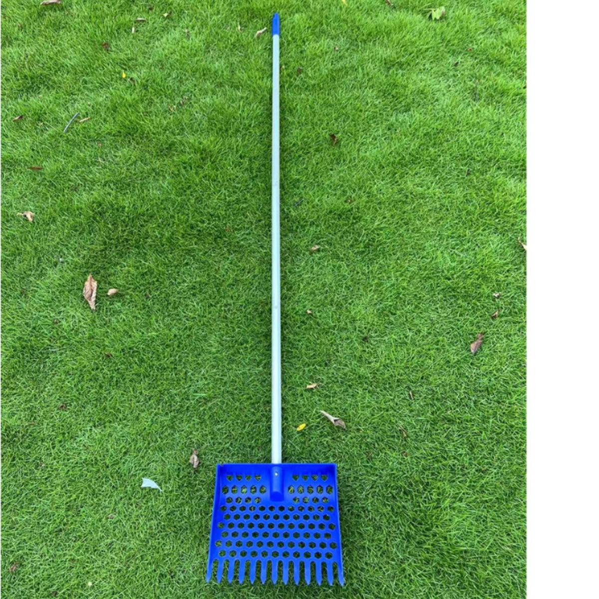 "Robuste Sandsieb-Schaufel in Blau für Hühnerställe und Kleinfarmen - Aus langlebigem Kunststoff"
