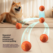 "Interaktiver Leuchtender Hundespielball - Automatischer Elektro Sprungball für Haustiertraining, Zahnreinigung und Muskelübung - Robuste Gummimaterial, Sicher für Aggressive Kauer"