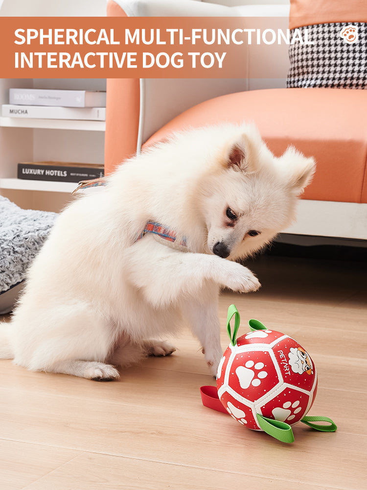 "Interaktives Hundespielzeug Fußball mit Gurten - Wasserspielzeug für Tauziehen - Ideales Geschenk für Haustiere zu Halloween, Weihnachten & Geburtstag"